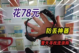 花78元买了一个寻狗神器，再也不用担心流浪狗失踪，雪天寻找来财视频封面