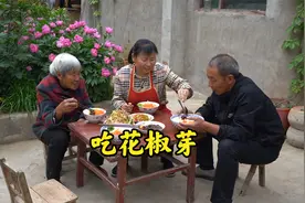 这个季节花椒树长出嫩芽，这两种花椒芽的吃法你们尝试过吗视频封面
