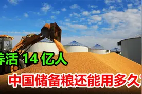 中国储备粮有多少？养活14亿人，中国储备粮还能用多久？视频封面