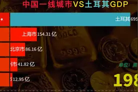 土耳其经济如何，近40年中国一线城市VS土耳其GDP对比视频封面
