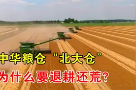 年产量百亿斤，号称“中华粮仓”的北大仓，为什么要退耕还荒？视频封面