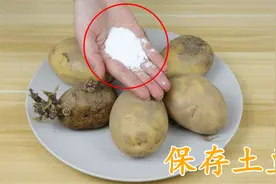 才知道，保存土豆这么容易，只需一把食用碱，放一年不发芽不变绿视频封面
