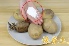才知道，保存土豆这么容易，只需一把食用碱，放一年不发芽不变绿视频封面