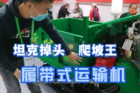 果园运输车中的坦克，载重1.5吨还能爬45度的坡，只要一万多。视频封面