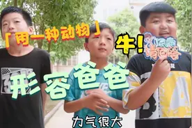用一种动物来形容爸爸视频封面