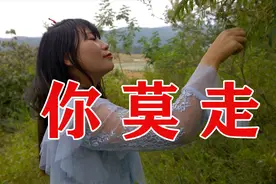 网络热歌《你莫走》亲爱的！我是真心的喜欢你，不要离开我好不好视频封面