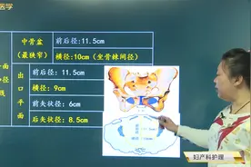 妇产科-女性生殖系统解剖与生理-骨盆：中骨盆、出口平面的特点视频封面