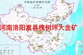 河南省洛阳市嵩县槐树坪发现大金矿视频封面