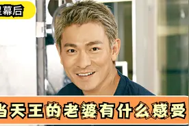 明星幕后之天王刘德华，华仔谈老婆，从1986年相识到2008年结婚视频封面