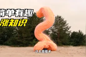几个简单的亲子互动游戏推荐，在家陪孩子轻松涨知识，激发创造力视频封面