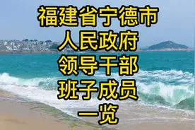 福建省宁德市人民政府领导干部班子成员一览视频封面