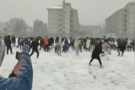 东北校园操场打仗事件视频封面