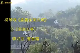 柳琴戏孟姜女哭长城-泪洒长亭-李兴亚曹金霞视频封面