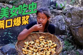 荒野觅食：小妹妹吃肉虫一口一个，满口爆浆。视频封面