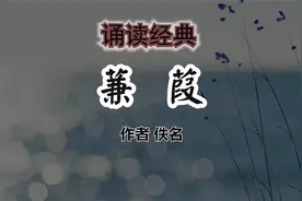 诵读《蒹葭》 +译文解读视频封面