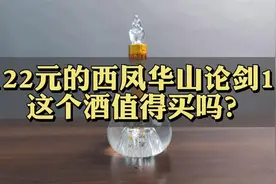 第28期：122元的中国四大名酒西风华山论剑10，这个酒值得买吗？视频封面