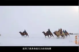 非遗过大年 | 新疆非物质文化遗产：赛骆驼视频封面