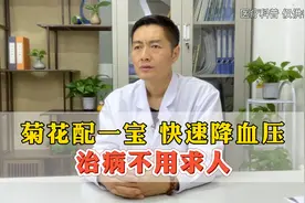 菊花配一宝  快速降血压  治病不用求人
