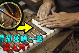 最贵能卖782万一支，都是烟草，为啥雪茄比香烟贵上万倍？视频封面