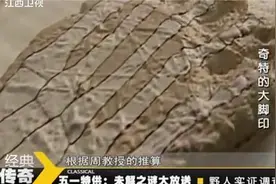 经典传奇：发现奇特大脚印，专家推测身高，怀疑是不是野人视频封面
