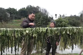 把刚做的盐菜弄来晒，母亲手把手教我怎么存放，这一坛要吃一年了