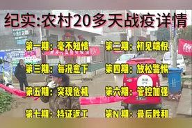 真实记录！20多天“战疫”详情过程 河南南阳重灾区某农村纪实视频封面