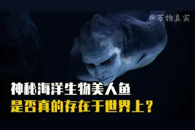 美人鱼真的存在吗？多起目击事件纷纷流出，长相与想象大不相同？视频封面