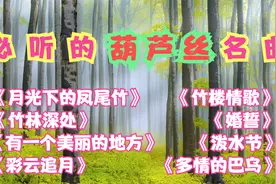 8首【葫芦丝】名曲联奏，幽幽竹林，丝丝悦耳，实在太好听了 ！视频封面