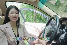 快来看看12属相都开什么车，太准了!视频封面