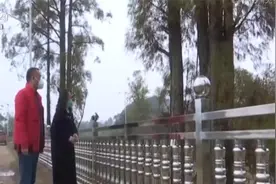 鹰潭：贵溪为国家一级保护植物水松建立安全防护网视频封面