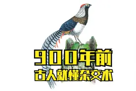 900年前古人就懂杂交术视频封面