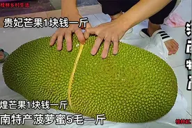 海南特产菠萝蜜批发5毛1斤芒果1块，粉丝帮寄了几箱，新鲜太好吃视频封面