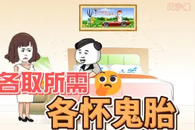 各取所需，各怀鬼胎。视频封面