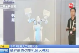 2019世界人工智能大会，多种形态仿生机器人亮相，壁虎小狗样样有视频封面