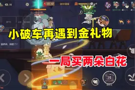 猫和老鼠手游：四排再遇到金礼物 都要输了还买白花视频封面