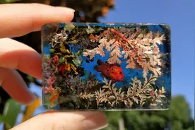 【滴胶教程】手工制作水下伊旬园!绝美海底的另一个世界~视频封面