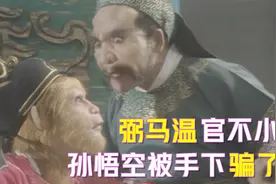 还原真实的西游记原著，弼马温根本不是小官，孙悟空被手下骗了！视频封面