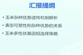 肖英杰老师：玉米杂种优势解析和基因组育种策略视频封面