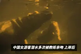 中国女游客潜水多次被教练亲吻 上岸后教练还提出一起出去玩视频封面