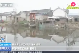 违规使用燃煤锅炉，督察组回访：碳素厂生产车间查封并全面停产视频封面