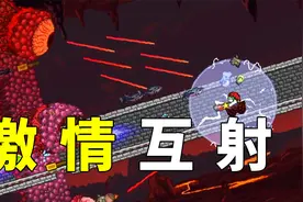 【芦苇】红红的！-泰拉瑞亚1.3灾厄模组实况#10视频封面