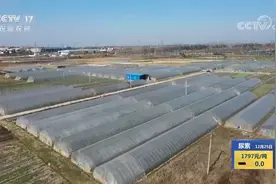 李安学夫妇：身残志坚，扶贫路上走出的种植大户视频封面