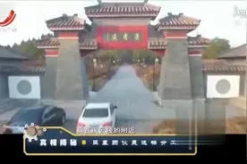 盗墓团伙牵扯出文物大案，汉云陵出现专业盗洞，案件背后不简单视频封面