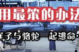 老舍《骆驼祥子》011：祥子想逃命，却又舍不下白得来的几匹骆驼视频封面