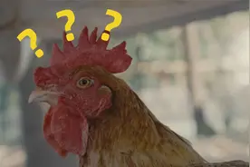 谁让你这么拍CS:GO视频的？！视频封面
