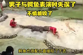 泰国男子与鳄鱼表演时失误，不慎被鳄鱼咬伤视频封面