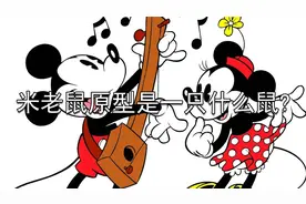 杂学：米老鼠的原型原来是鼷鼠，动画太灵动了视频封面