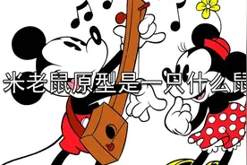 杂学：米老鼠的原型原来是鼷鼠，动画太灵动了视频封面