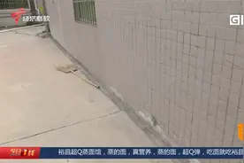 住宅变危楼？广州增城一改造工程致民宅开裂？建设方已暂停施工视频封面