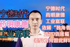 宁德时代 药明康德 工业富联依稀“独角兽”近20倍涨幅 差异鲜明视频封面